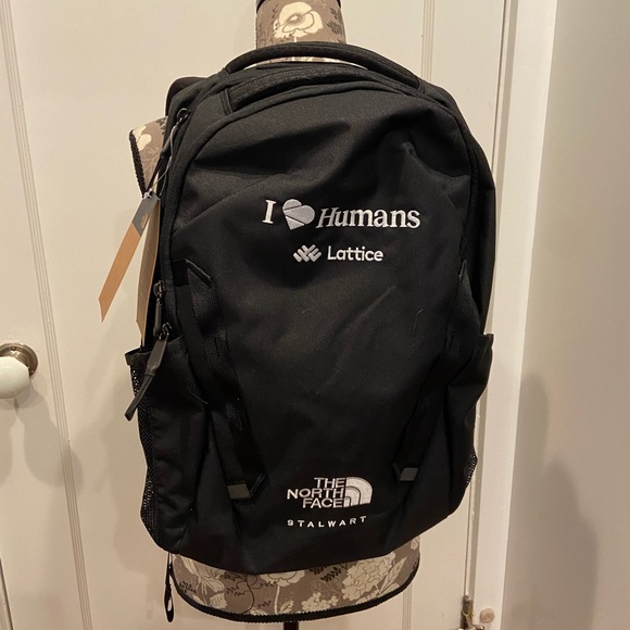 The North Face Stalwart Backpack NWT